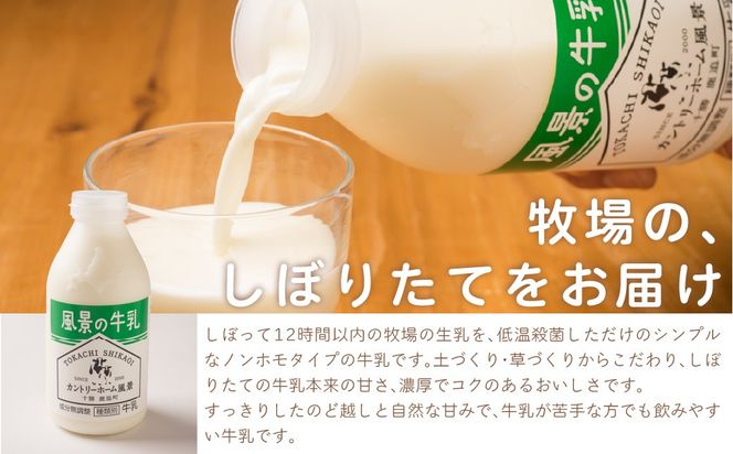 風景の牛乳 500ml ×6 SKB075