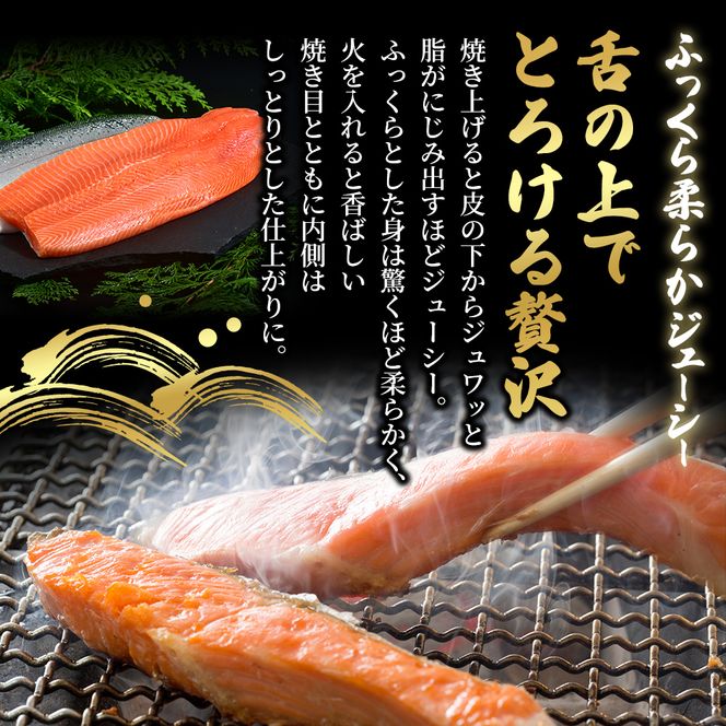 北海道産 時鮭 半身 500g～550g 鮭 さけ シャケ 魚 甘塩 冷凍 半身加工 旬 