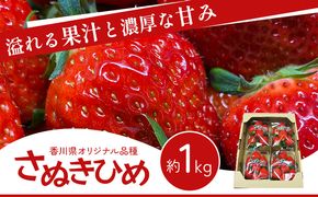 【12月～1月発送】香川県 オリジナル品種！ いちご【さぬきひめ】1kg（ フルーツ 果物類 苺 さぬき姫 取り寄せ 送料無料 糖度 甘い 農園 特産品 秀品 大粒 1キロ デザート ストロベリー 国産 冷蔵便 ） 香川県東かがわ市 