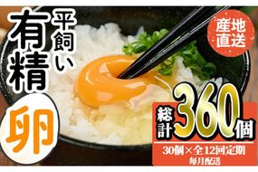 ＜定期便・全12回＞産直・平飼い有精卵 (総計360個・30個×12回(毎月発送)) 卵 玉子 卵かけご飯 玉子焼き 平飼い 鶏 鶏卵 養鶏場直送 朝採れ 新鮮 大分県 佐伯市 【HM05】【佐伯養鶏場】