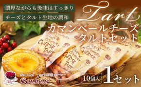 カマンベールチーズタルトセット（10個入り）1セット　K351-005