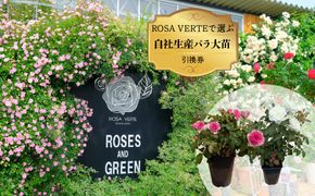 コマツガーデン直営店「ROSA VERTE」で選ぶ、自社生産バラ大苗引換券 SWBD016