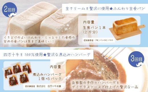 【5回定期便】男性一人暮らしさんのための 定期便 四万十市 四万十 高知 高知県 しまんと 鰹 かつお かつおのたたき 牛肉 ハンバーグ 煮込み 四万十牛 ピザ ピッツァ ガトーショコラ 冷凍 食パン パン 25-0018