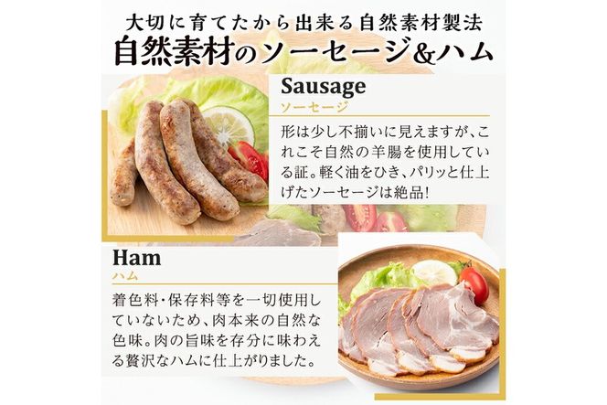 a829 月ノ灯牧場直送！保存料・添加物等不使用の鹿児島県産黒豚ソーセージとハム詰め合わせ合計600g(ソーセージ200g×2p・ハム100g×2p)完全無投薬・放牧黒豚のソーセージとハムをお届け【pig village company】