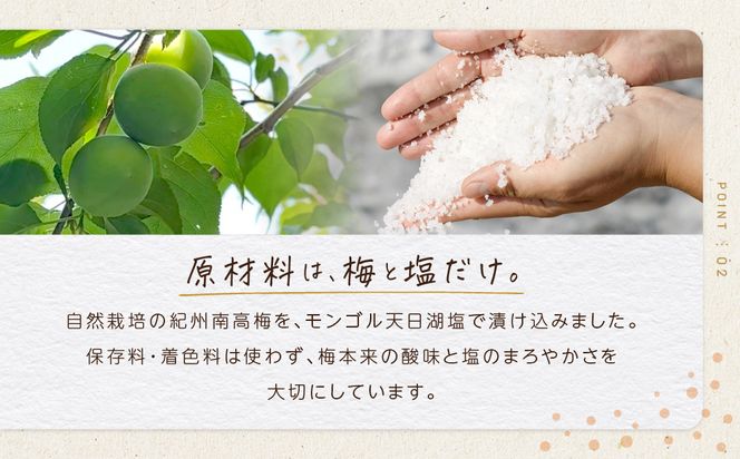 ひとみずの梅干し 500g 自然栽培で育てた紀州南高梅使用 ※栽培期間中、農薬・肥料・堆肥不使用 304018_EW03