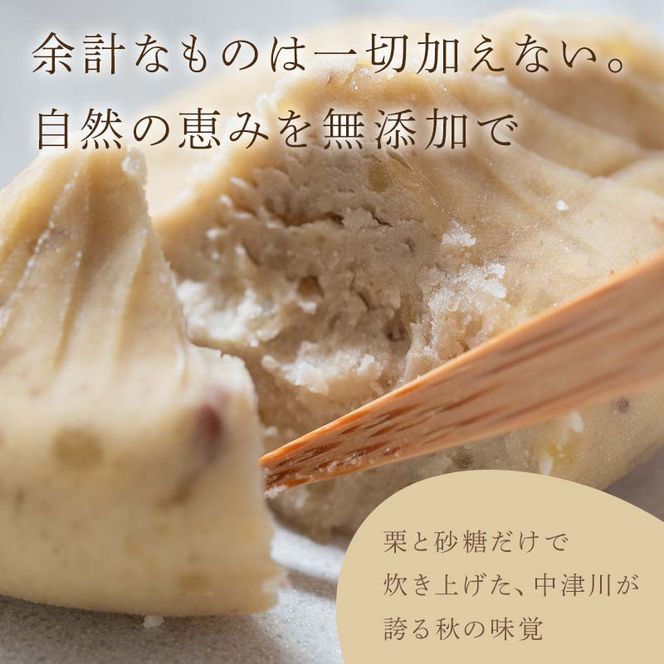 【11月お届け】 御菓子所 川上屋 栗きんとん （秋季限定）20個入り F4N-1702