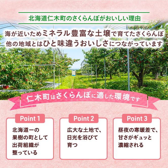 先行受付 さくらんぼ【 南陽 】800g（200g×4）L-LLサイズ混合  サクランボ チェリー フルーツ 果物 果物類 ギフト 北海道 仁木町 仁木 [横山農園]