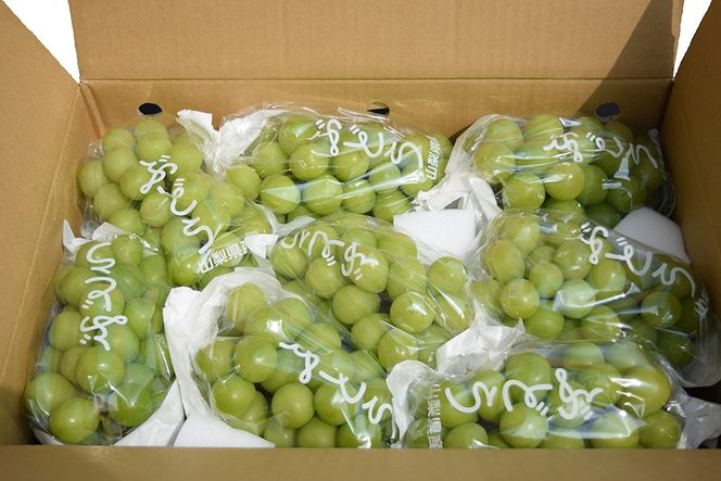 yRxm쒬zyʌzy2026N s\zVC}XJbgiSȏEU`X[j@VC }XJbg Ԃǂ uhE  t[c ʕ  R ܂Ȃ xm쒬