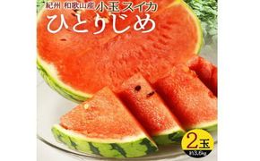 紀州和歌山産 小玉スイカ「ひとりじめ」2玉【予約】 ※2026年6月上旬頃～7月上旬頃に順次発送予定(お届け日指定不可) スイカ すいか 果物 くだもの フルーツ【uot779A】