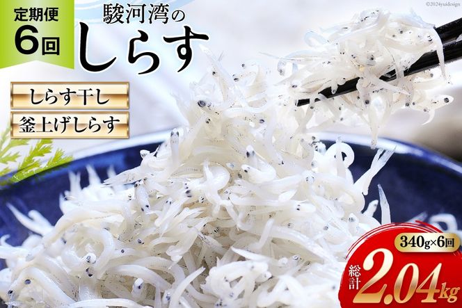 yÉgcz6  x͘pY 炷 100g×1 グ炷 120g×2 v3pbN [}Y É gc 22424641]  CN 炷 q VX V Ⴑ  Ⴑ 炷