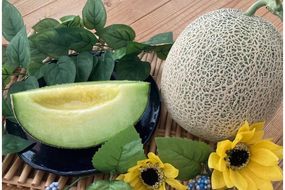 【先行予約】京丹後・俵野産 砂丘メロン 2L以上 1玉（2026年7月下旬～発送） IU00001