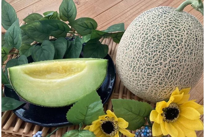 【先行予約】京丹後・俵野産 砂丘メロン 2L以上 1玉（2026年7月下旬～発送） IU00001