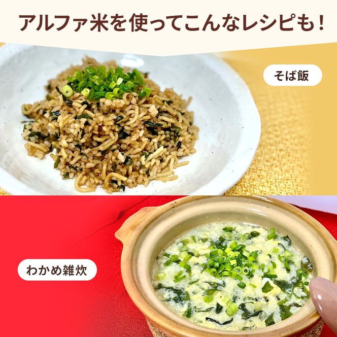 熊本県錦町産森のくまさん使用！ わかめごはん 100g 10袋セット もちもち食感　甘みしっかり アルファ米 保存食 非常食 長期保存 アルファ化米