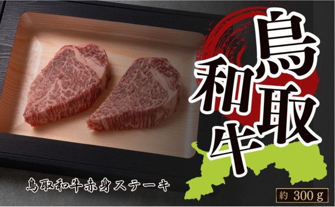 y挧sza ԐgXe[L 300g ( 150g×2 ) 312011_CV019
