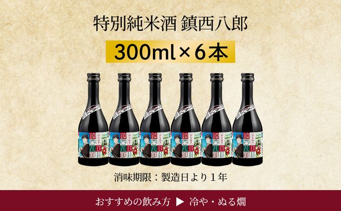 特別純米 鎮西八郎 300ml瓶×6本 C-723-AB