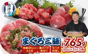 a10-1312　まぐろ三昧セット