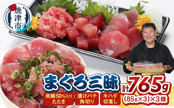 a10-1312　まぐろ三昧セット