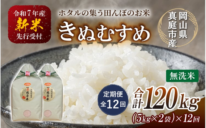 ＜定期便 全12回＞ 令和７年産 真庭市産きぬむすめ　無洗米 10kg (5kg×2袋) ×12回 / お米 国産 岡山県 米 人気 ブランド 2025年産 【tkns-tkb024-cho】