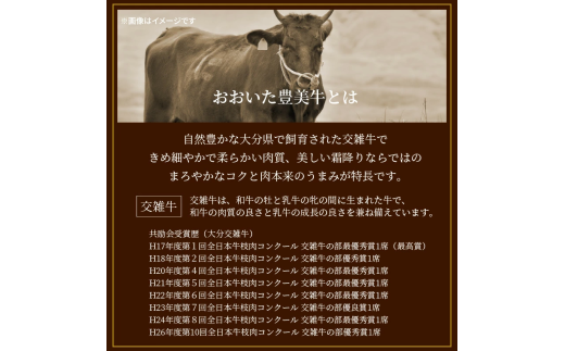 おおいた豊美牛切り落とし 1.5kg (300g×5P)_2263R