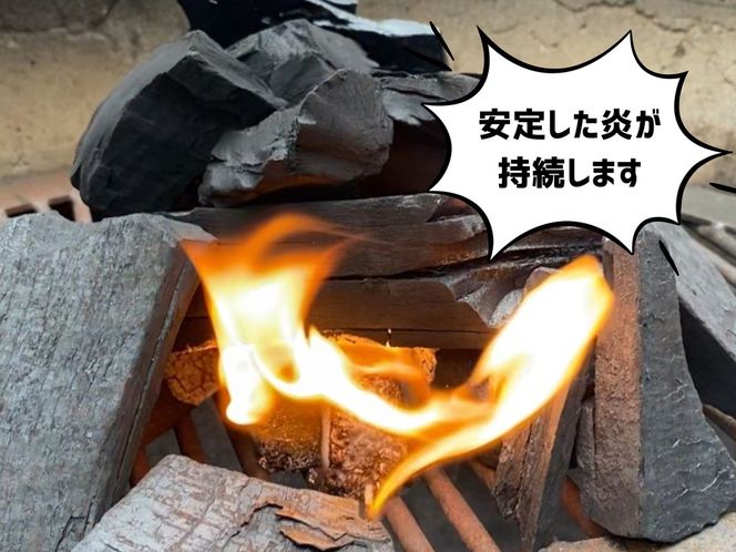 みんなでつくる着火剤（３本入り）４０袋 141305_MS04