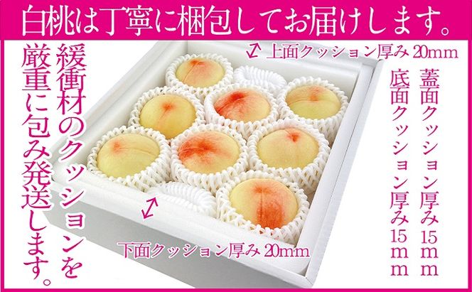 桃 2026年 先行予約 岡山の白桃 200g以上×8玉 白桃 旬 みずみずしい 晴れの国 おかやま 岡山県産 フルーツ王国 果物王国 デザート 岡山の桃 旬の桃 