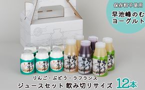 早池峰のむヨーグルト・ジュースセット 飲み切りサイズ（B-2） 【1551】