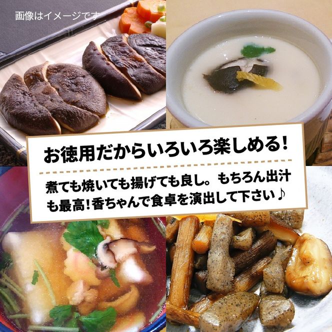 ボリュームの500g！国東しいたけ香ちゃん （徳用）_1735R