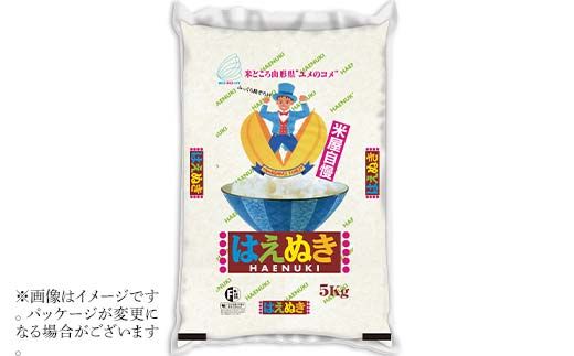 FYN1-215 令和7年産 新米 山形県産 はえぬき 10kg 2025年 お米 米 米米 ごはん ご飯 白米 国産 ブランド米 節水 時短 冷めてもおいしい お取り寄せ 食品 山形県 西川町 月山