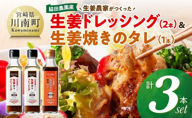脇田農園産　生姜農家が作った生姜ドレッシング2本＆生姜焼きのタレ1本　計3本セット 【 生姜 ショウガ 国産 宮崎県産 九州産 川南町産 農家直送 しょうが 生姜焼きのたれ ドレッシング 】 [C07003]