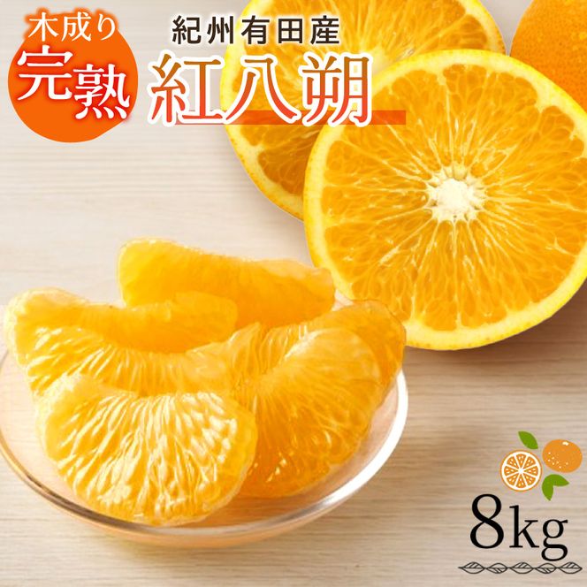 【2027年先行予約】紀州有田産 木成り完熟 紅八朔 8kg_G7105