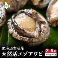  日時指定不可【産地直送　留萌産】天然活エゾアワビ 300ｇ～400ｇ（2～5個入り）R006-015