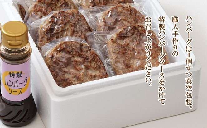 淡路玉ねぎたっぷりハンバーグ（特製ソース付）140g×12個　ハンバーグ 湯煎