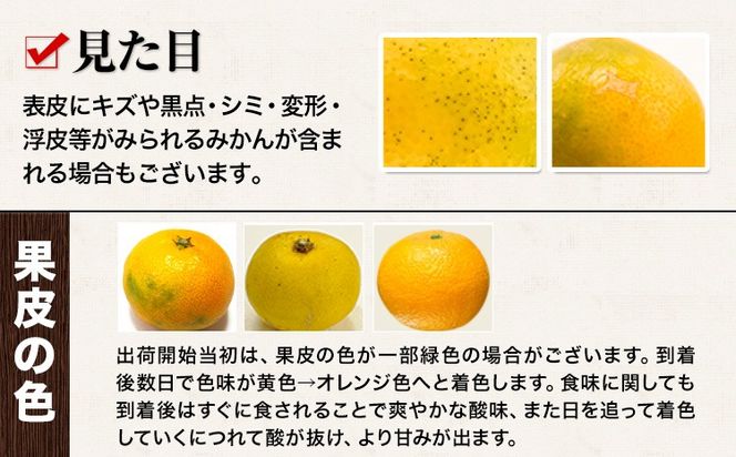 訳あり みかん 小玉みかん くまもと小玉みかん 2.5kg (2.5kg×1箱) 秋 旬 不揃い 傷 ご家庭用 SDGs 小玉 たっぷり 熊本県 産 S-3Sサイズ フルーツ 旬 柑橘 長洲町 温州みかん《11月中旬-12月上旬頃出荷》---fn_nkomikan_g11_24_6000_2500g---