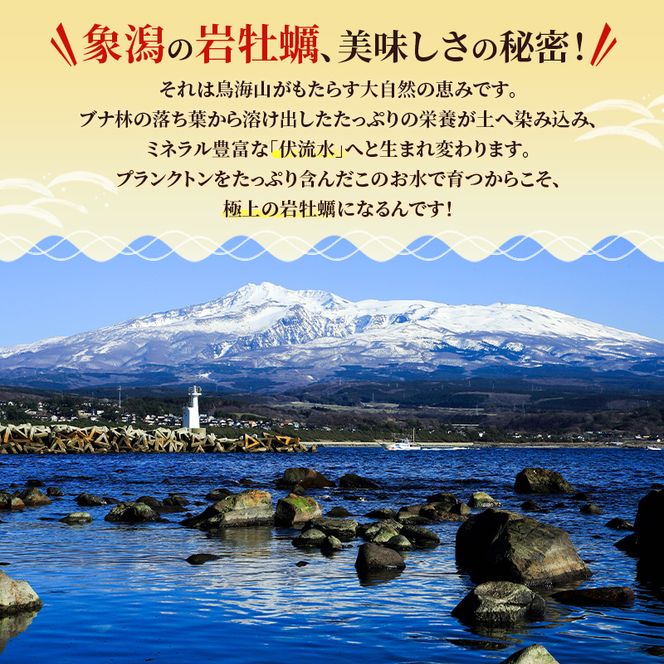 【 先行予約 7月上旬～下旬発送予定】象潟産 天然岩牡蠣 7～8個 ナイフ付【 牡蠣 夏牡蠣 かき 象潟 生食可 魚介類 海鮮 海産物 海の幸 】