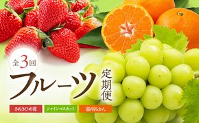 数量限定！讃岐のフルーツ定期便（全3回）【さぬきひめ苺】【温室シャインマスカット 】【温州みかん】