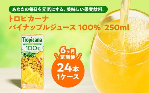 y錧푍szy6zgsJ[i 100 pCAbv 250ml LLX×24{ ւ̔zs