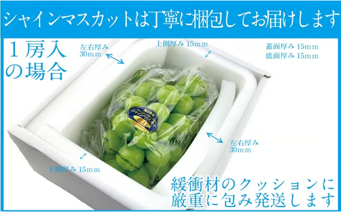 ぶどう 2026年 先行予約 シャイン マスカット 晴王 1房 約600g ブドウ 葡萄 岡山県産 国産 フルーツ 果物 ギフト デザート 食後 酸味が少ない 産地直送 [№5735-1678]
