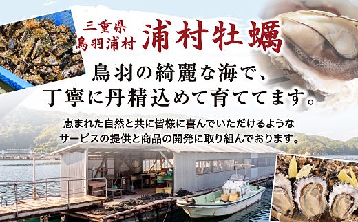 【先行予約／2026年12月より順次発送】I-55生食用浦村牡蠣１５個入りセット
