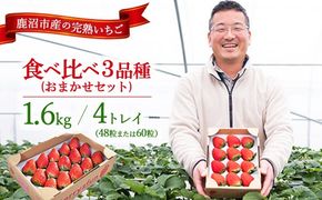 【先行予約/数量限定】【贅沢いちごセット】完熟いちご食べ比べ3品種（48粒または60粒）おまかせセット4トレイ1600g ｜ 栃木県 鹿沼市 産地直送 旬 いちご こだわり 高級品 贈答用 イチゴ 苺 果物 フルーツ 期間限定　 　※2025年12月中旬～2026年2月中旬頃に順次発送予定