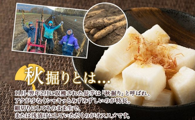 【 2026年 出荷 】 北海道 俱知安町産 ネバリスター 計5kg 北海道産 芋 ながいも 長芋 とろろ 新鮮 フレッシュ 野菜 農作物 産直 山芋 大和芋 イチョウ芋 麦とろ 山かけ おつまみ グリーンアースファーム 送料無料 倶知安町