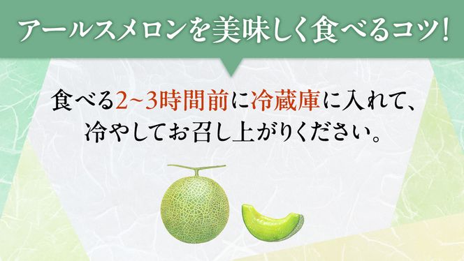 【 先行予約 】茨城県産 アールスメロン 秀品 3L サイズ × 1玉 入り 【 2026年8月下旬から発送 】 おすすめ JA全農いばらき JA メロン めろん ふるさと納税 フルーツ 予約 マスクメロン くだもの 果物 国産旬 定番 旬 期間限定 青肉 果物