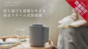＼ 年末期間限定価格！／ LAVINO ホットモイスト LAVINO ラビーノ 加湿器 卓上加湿器 空調 家電 暖房