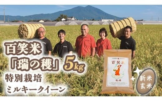 玄米 百笑米 「 瑞の穫 」 特別栽培 ミルキークイーン 5kg R7年産 米 コメ 茨城県 単一米 [AC014ci]