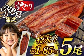 うなぎ 訳あり 鰻 蒲焼 特大 5尾 計約1.85kg 不揃い 規格外 小分け [大黒物産 福岡県 宇美町 um40bak830010] タレ 山椒付 茶葉蒸し ウナギ うなぎ蒲焼 鰻蒲焼き 蒲焼き かば焼き 真空パック 個包装 冷凍 unagi