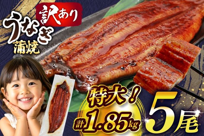 yFzȂ 󂠂 V   5 v1.85kg s KiO  [单Y  F um40bak830010] ^ Rt t EiM Ȃ VĂ Ă ΏĂ ^pbN  Ⓚ unagi