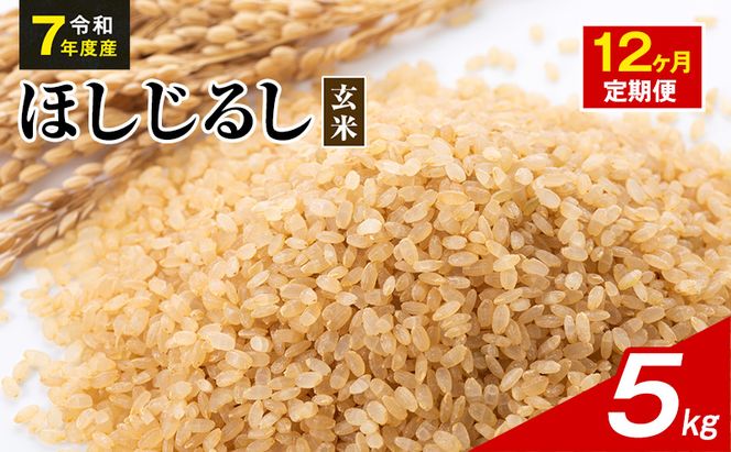 令和7年度産 ほしじるし 5kg 玄米 12ヶ月定期便 米 静岡県 袋井市【離島配送不可】