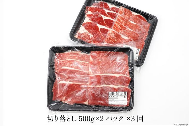 日本ハム 牛肉 3回 定期便 九州産 和牛 切り落とし 500g ×2p 計 1kg [日本ハムマーケティング 宮崎県 日向市 452061040] すき焼き しゃぶしゃぶ 赤身 小分け 冷凍 訳あり