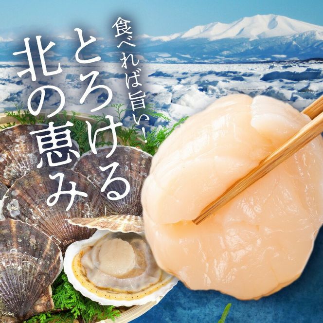道水 北海道産プロトン帆立1kg 冷凍ホタテ貝柱 お刺身や生食可_HD108-010