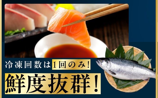 kgp0079 ノルウェー産 プレミアム アトランティックサーモン 1kg 【2～5柵 訳あり サイズ不揃い 上質 刺身 海鮮丼 サラダ 冷凍 物価高応援】