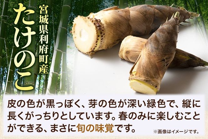 【先行受付 2026年4月以降発送】宮城県利府町産 採れたて たけのこ 皮付き2kg以上（2〜6本）筍 タケノコ 野菜 国産 新鮮 旬|06_ods-020201